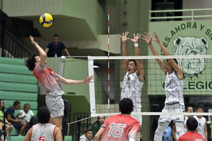 los tarzanes de la upr de mayagüez van a la final del voleibol masculino lai. (l. minguela lai)