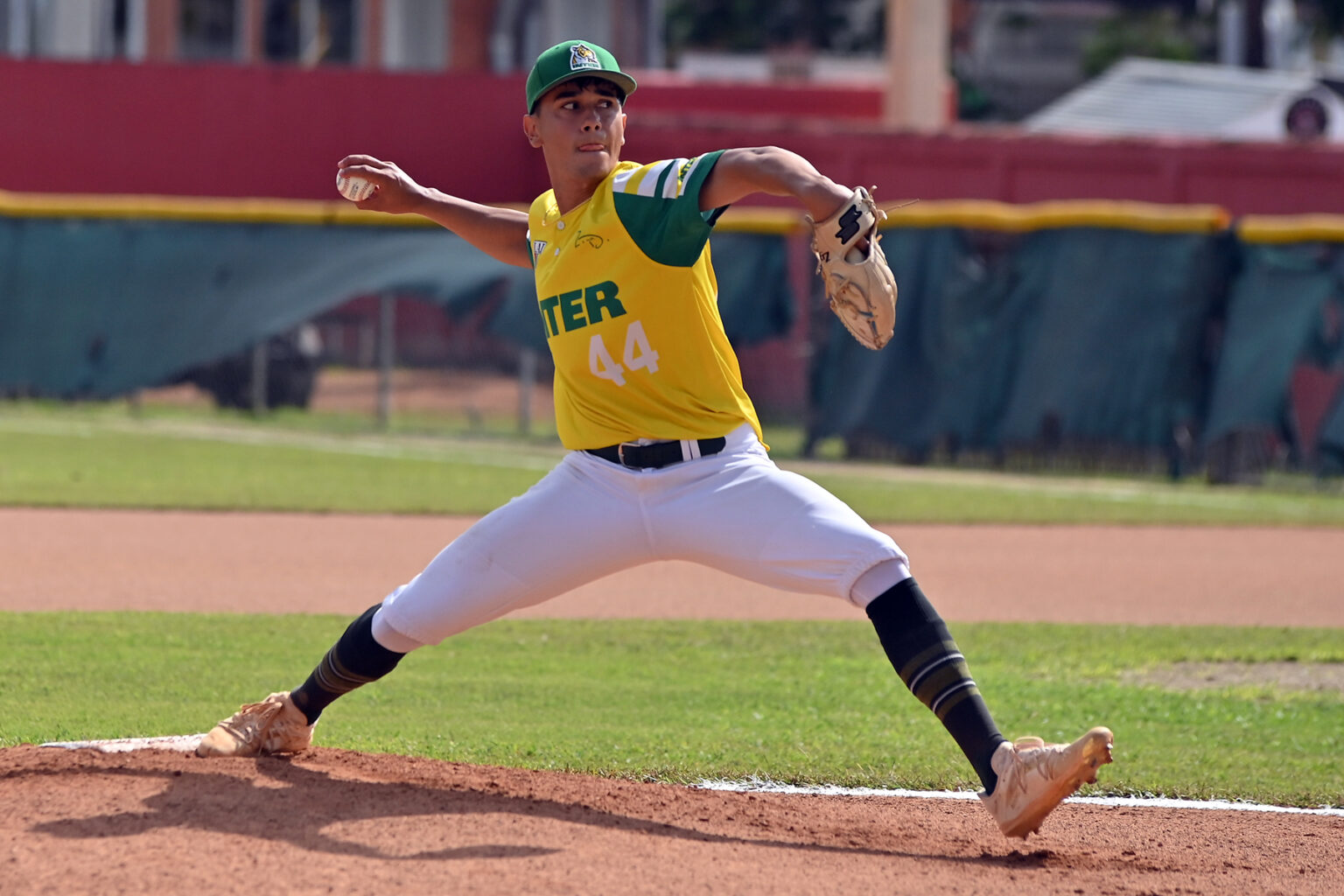 los tigres de la uipr ganan su primer partido de la serie de cuartos de final del béisbol de la lai. (l. minguela lai)