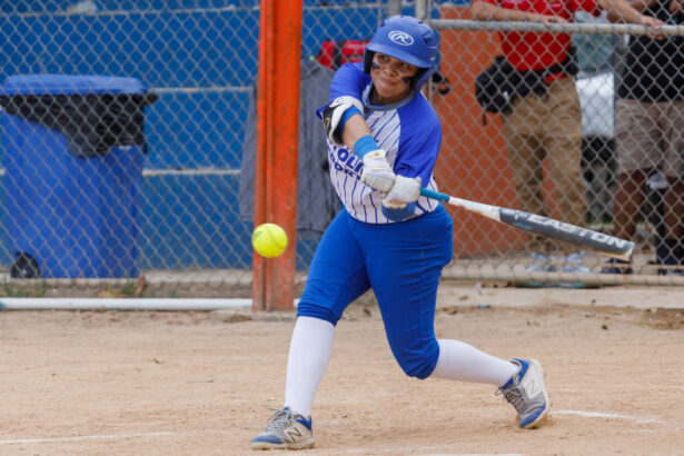 Cuatro equipo en busca de la gloria universitaria.