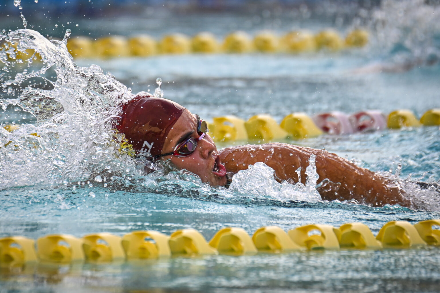 las delfinas y los delfines de la usc se posicionan en el primer lugar al finalizar el primer día de tres de las justas de natación de la lai. (lai)