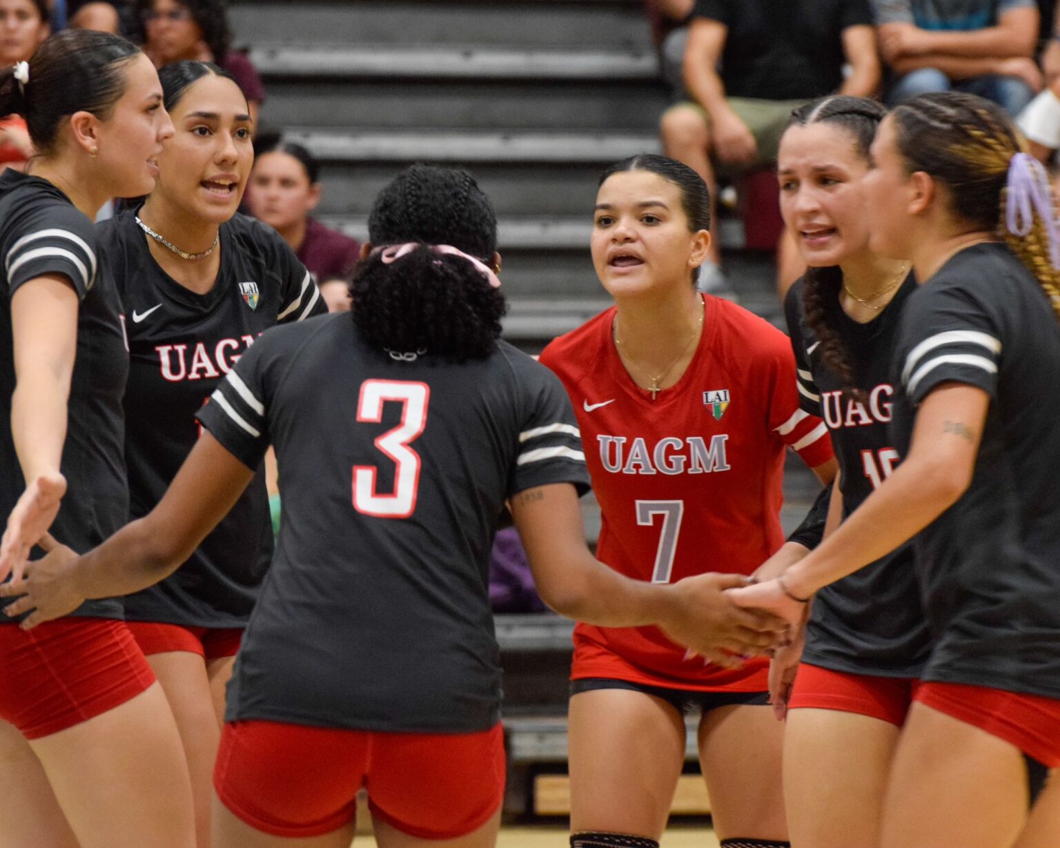 las taínas de la uagm siguen de forma invicta su camino en el torneo de voleibol de la lai. (zacha acosta lai)