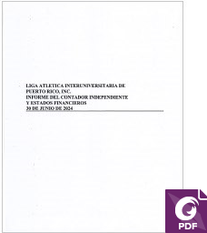 informe contador independiente estados financieros 2324