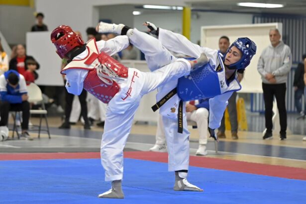 el escenario del taekwondo lai será usado el domingo para el campeonato nacional cadete, junior y juvenil de puerto rico. (luis f. minguela lai)