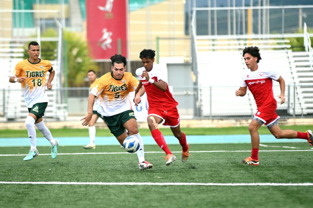 gallitos vs. tigres la gran final del fútbol de la lai 2024 2025.jpg (l. minguela lai)