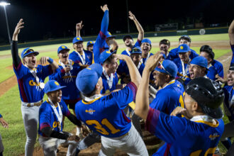 los gryphons de la caribbean saben que son la atracción principal del torneo de béisbol. (lai)