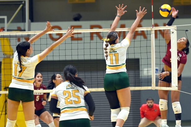 la temporada regular de voleibol culminará el 7 de noviembre.jpeg (luis f. minguela lai)