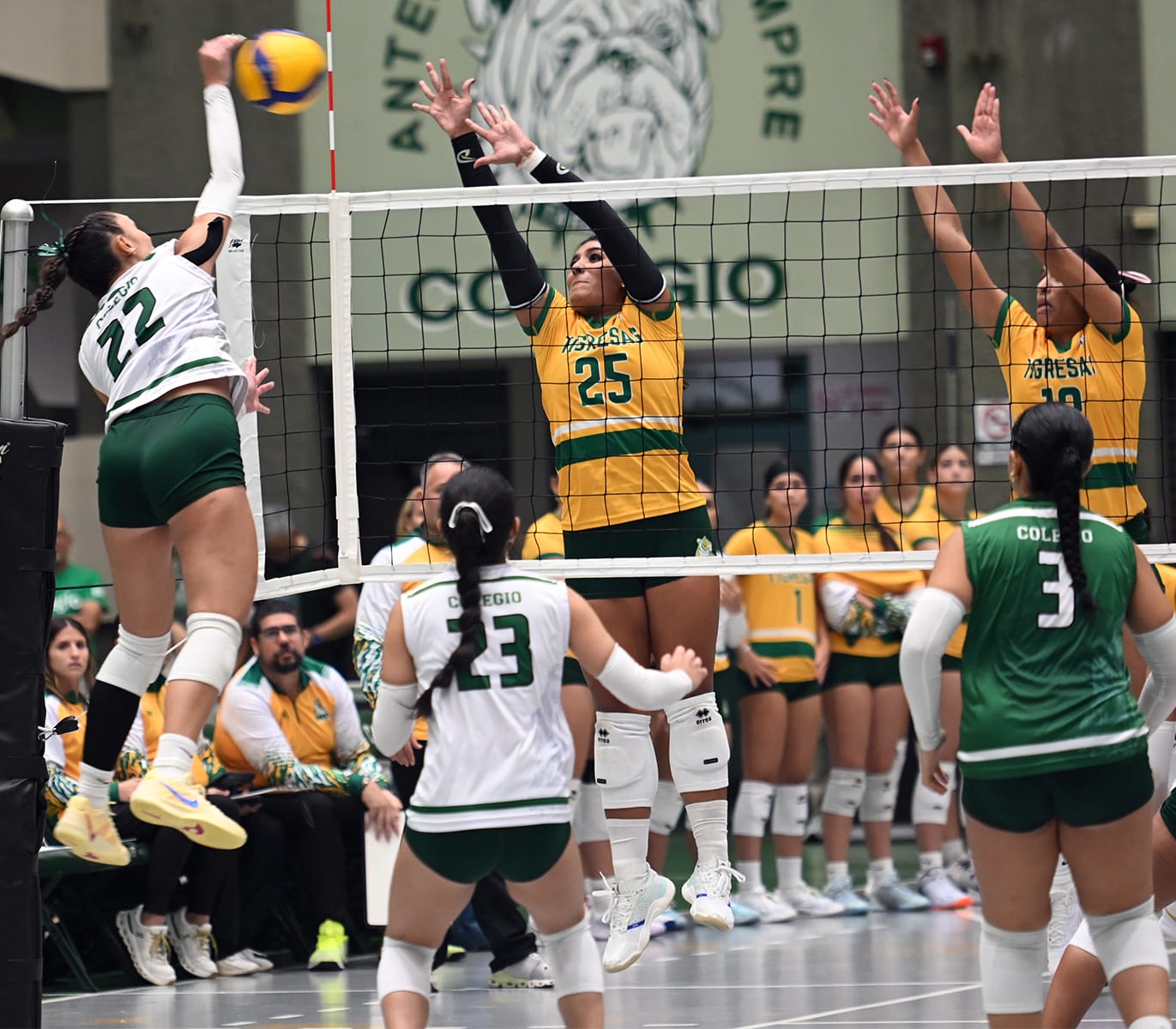 la uipr evoluciona en su juego para estar entre las mejores cuatro universidades del torneo de voleibol. (luis f. minguela)
