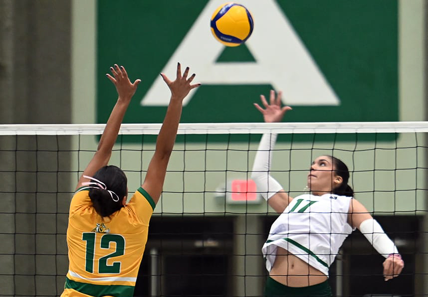 la uipr y la upr mayagüez será escenario de grandes partidos este lunes en el torneo de voleibol.jpg (l. minguela lai)