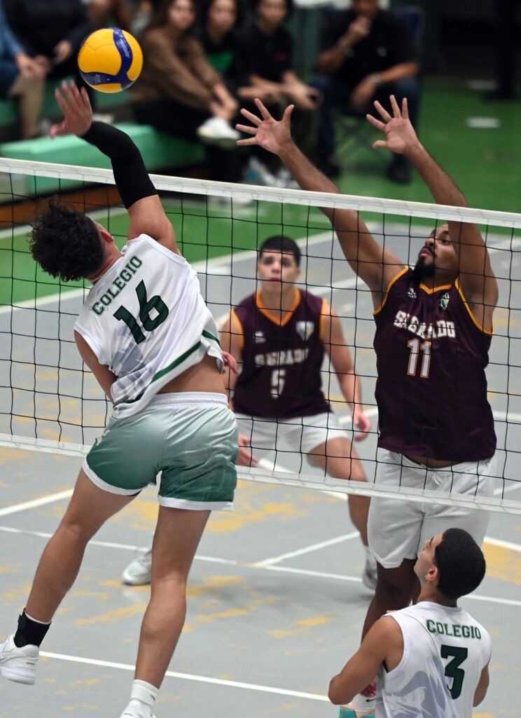 los delfines de la usc suman su décima victoria. (luis f. minguela lai)