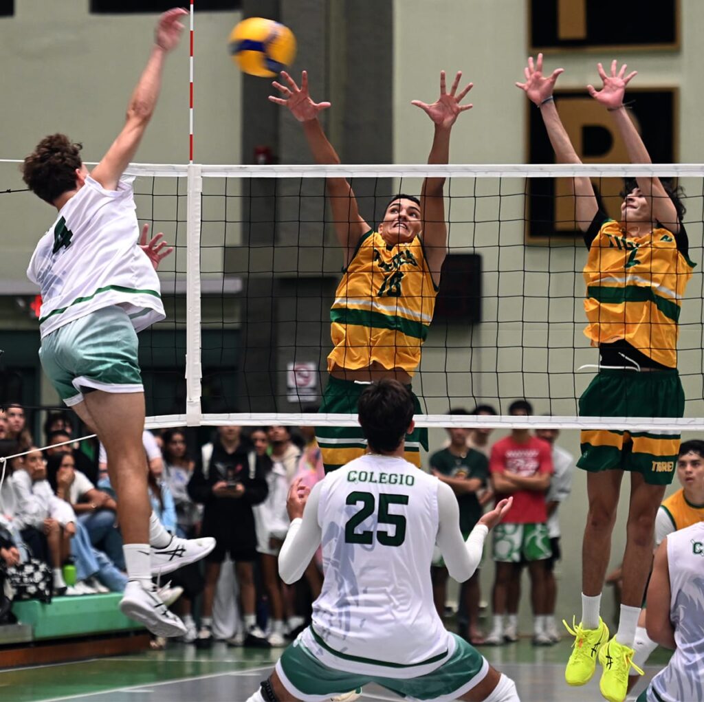 los tigres de la uipr marchan segundo en el torneo de voleibol. (luis f. minguela lai)