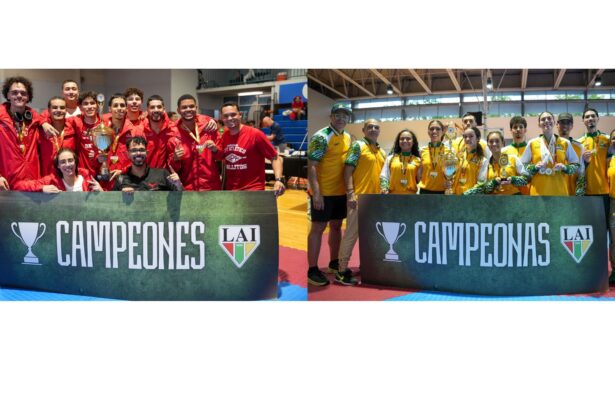 campeones de la lai