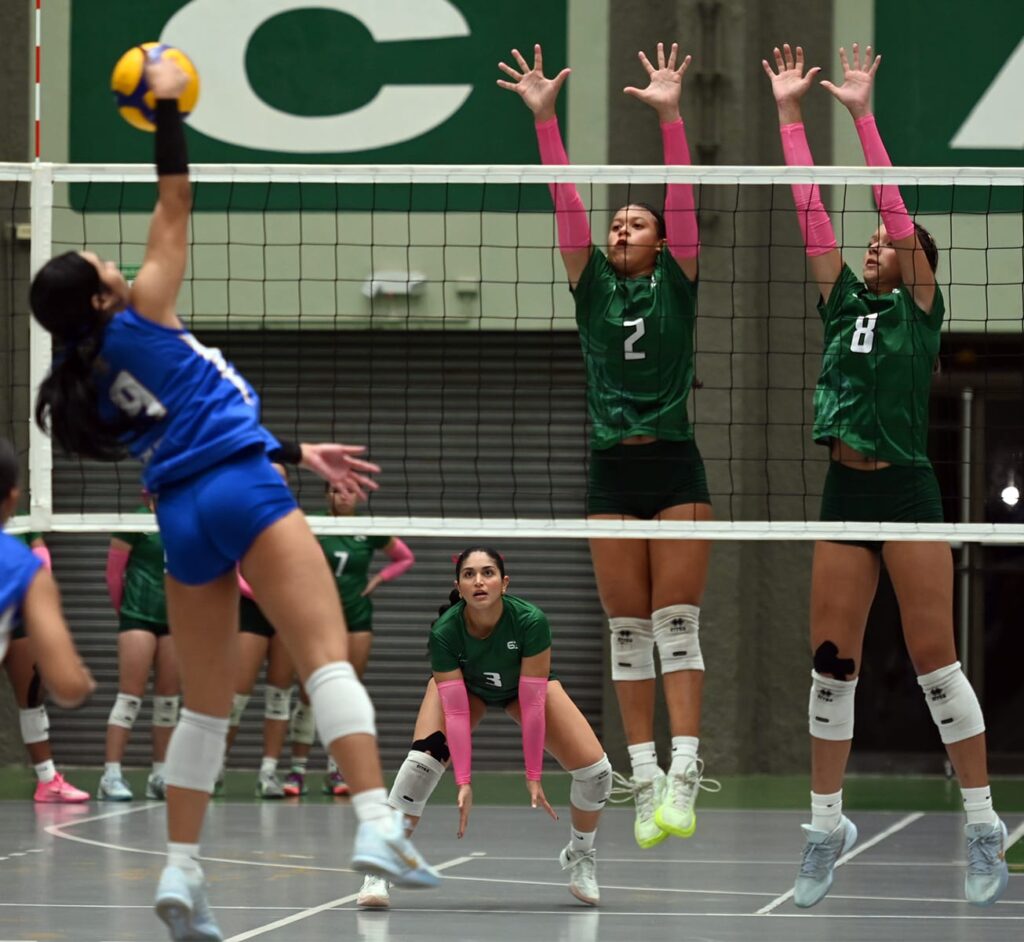 de verde, las juanas de la upr de mayagüez conquistan varios títulos en los últimos 15 años del voleibol de la lai. (luis f. minguela lai)