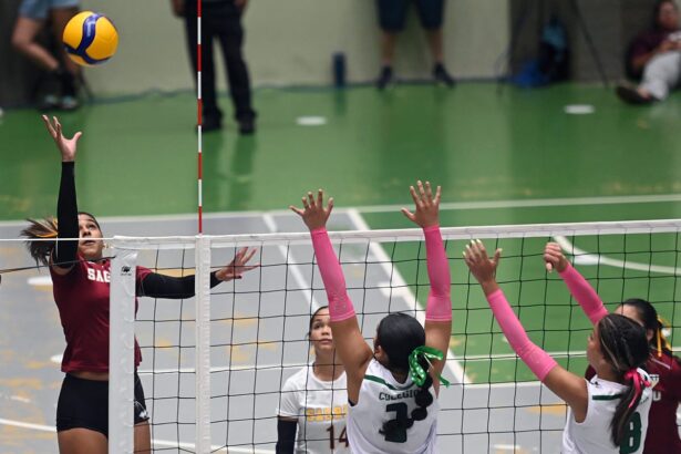 las delfinas de la usc y las juanas de la upr de mayagüez dominan la tabla de posiciones del voleibol femenino de la lai. (luis f. minguela lai)