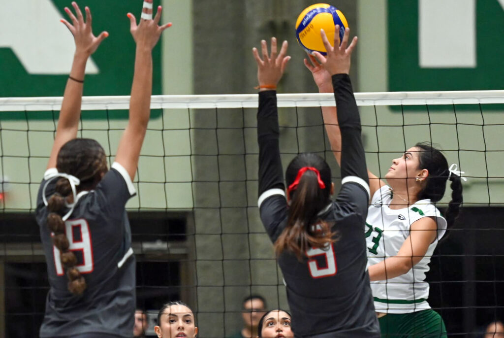 las pentacampeonas taínas de la uagm siguen su ruta a su sexta final consecutiva en el voleibol universitario. (l. minguela lai) 2