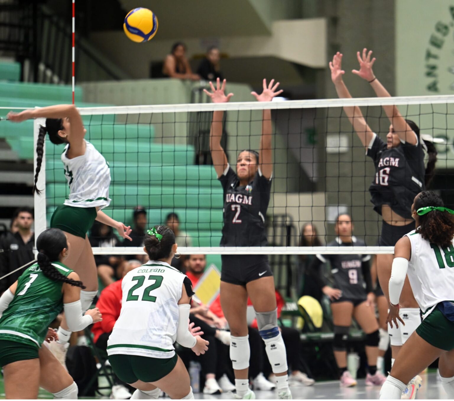 las taínas de la uagm es el equipo con mayor campeonatos en los últimos 15 años en el voleibol de la lai. (luis f. minguela lai)