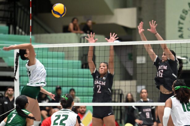 las taínas de la uagm es el equipo con mayor campeonatos en los últimos 15 años en el voleibol de la lai. (luis f. minguela lai)