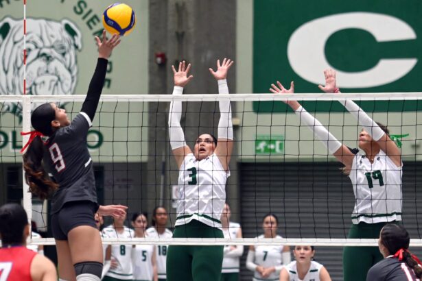 las taínas de la uagm pasan a la su sexta final del voleibol en la lai. (luis f. minguela lai)