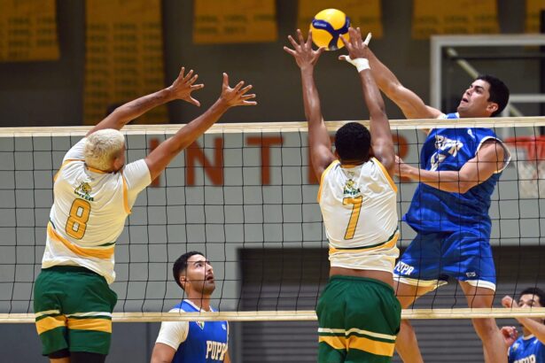 los castores de la universidad politécnica eliminaron en tres partidos a los tigres de la uipr para estar en la semifinal del voleibol lai. (luis f. minguela lai)