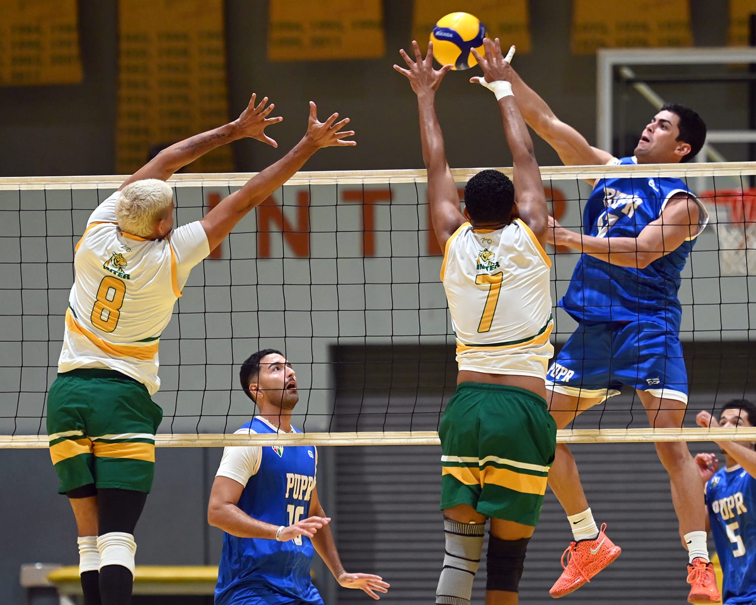 los castores de la universidad politécnica eliminaron en tres partidos a los tigres de la uipr para estar en la semifinal del voleibol lai. (luis f. minguela lai)