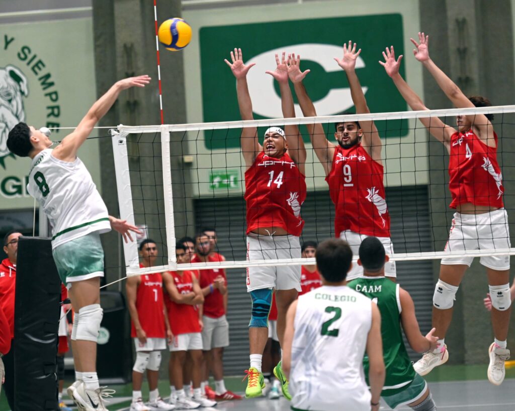 los tarzanes de la upr de maaygüez eliminaron a los gallitos de la upr de río piedras. (luis f. minguela lai)