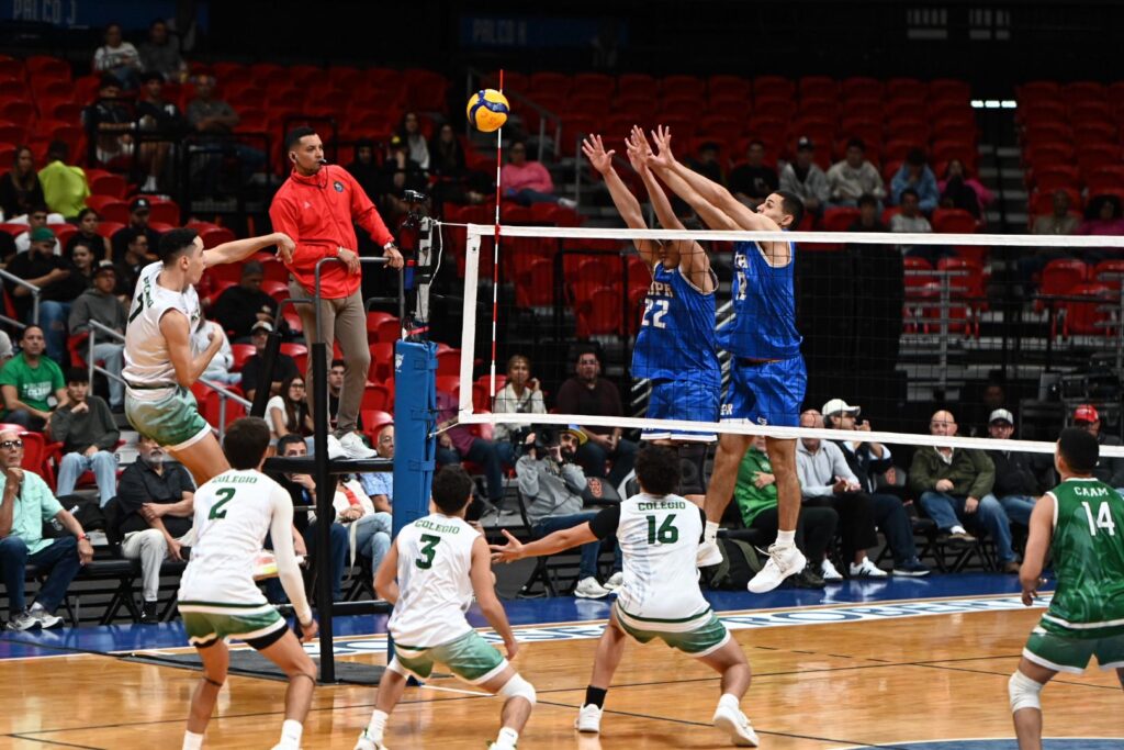 los castores de la politécnica vencieron en tres particales a los tarzanes de la upr de mayagüez.jpg (jorge colón lai)