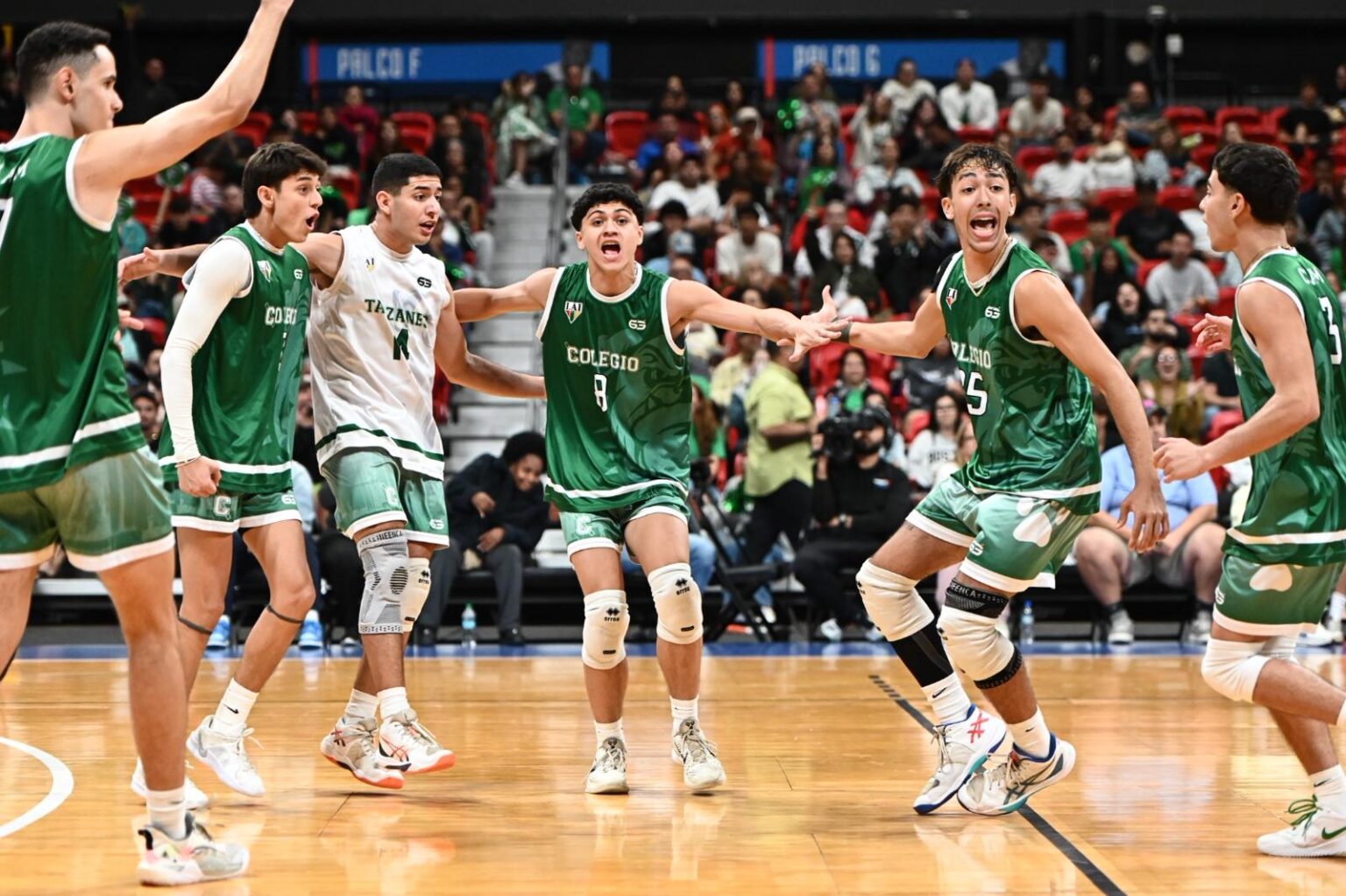 los tarzanes de la upr de mayagüez no se dan por vencidos.jpeg (jorge colón lai)