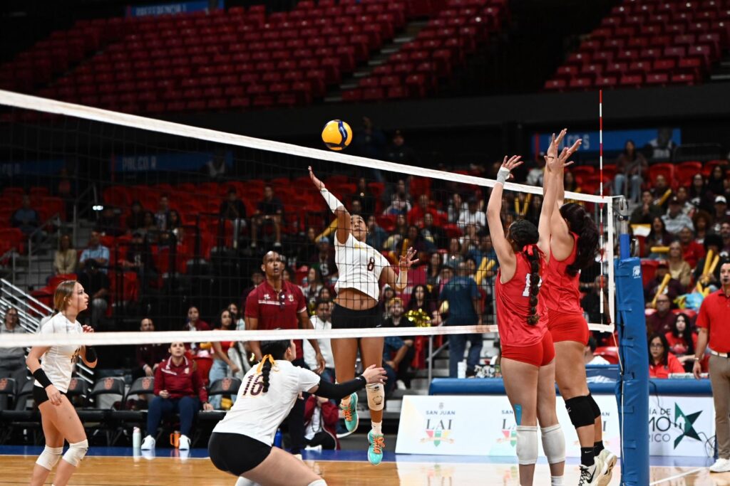 whatsapp image 2025 12 10 at 18.51.42