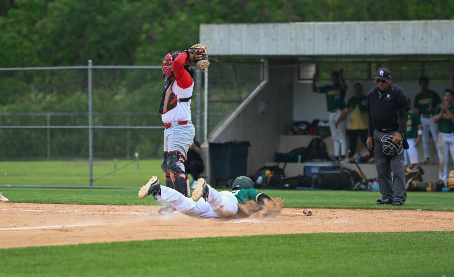 los tigres de la uipr vencieron 5 3 a los taínos de la uagm en el primer partido de la final de béisbol de la lai .jpg (luis f. minguela lai)