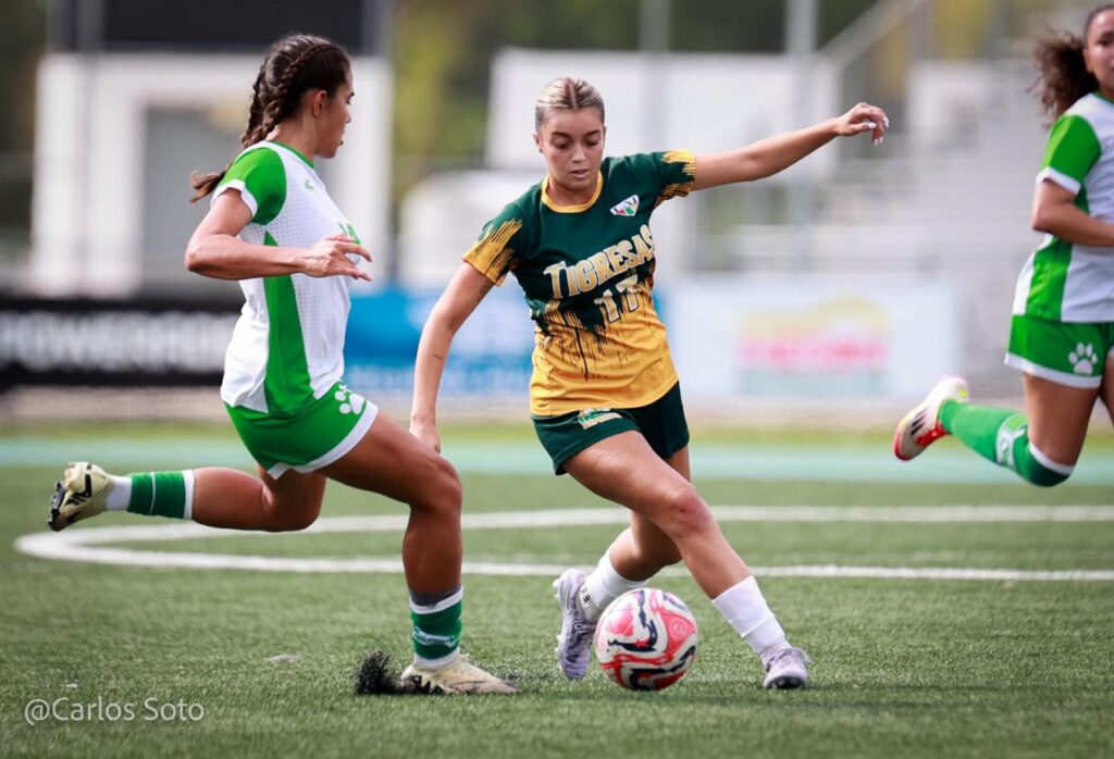 whatsapp image 2026 03 17 at 16.49.52