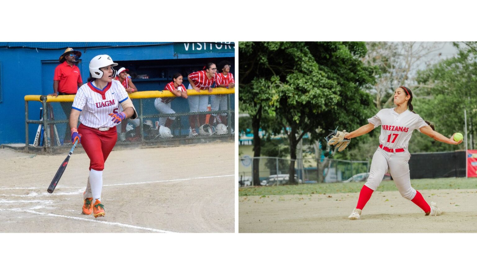 para la final, la uagm y la upr río piedras en softbol. (lai)