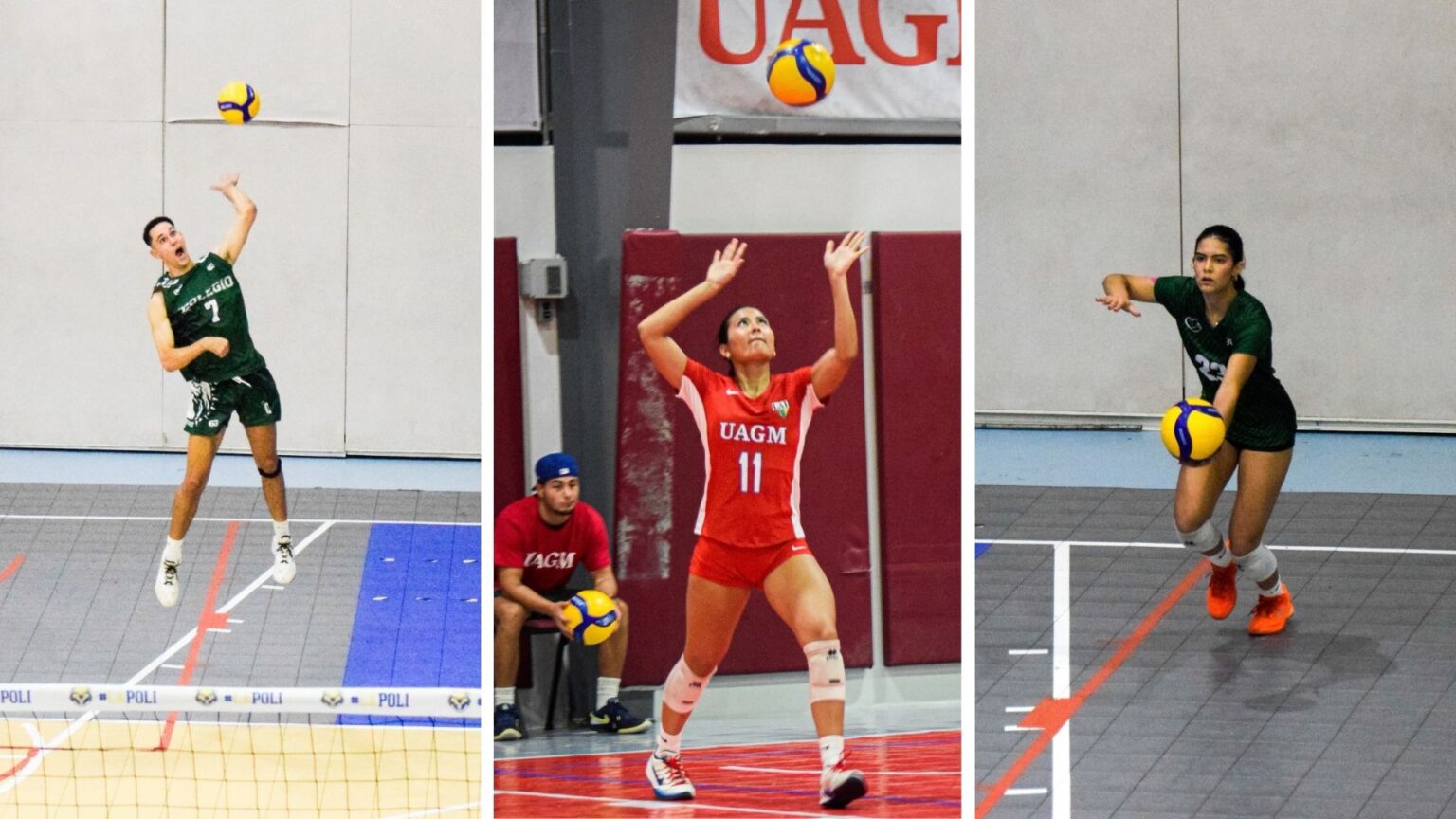 el recinto universitario de mayagüez y las taínas de la uagm dominan el voleibol de la lai. (montaje lai)