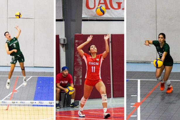 el recinto universitario de mayagüez y las taínas de la uagm dominan el voleibol de la lai. (montaje lai)