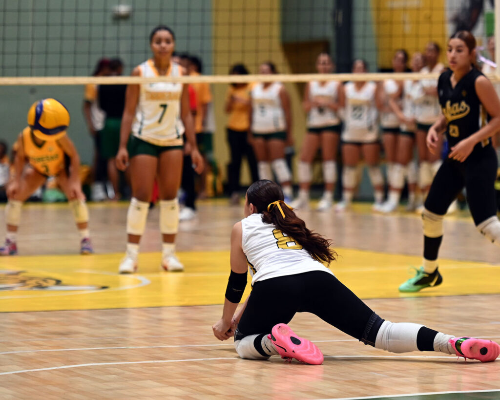 el voleibol es el deporte con mayor cantidad de partidos esta semana. (luis f. minguela lai)