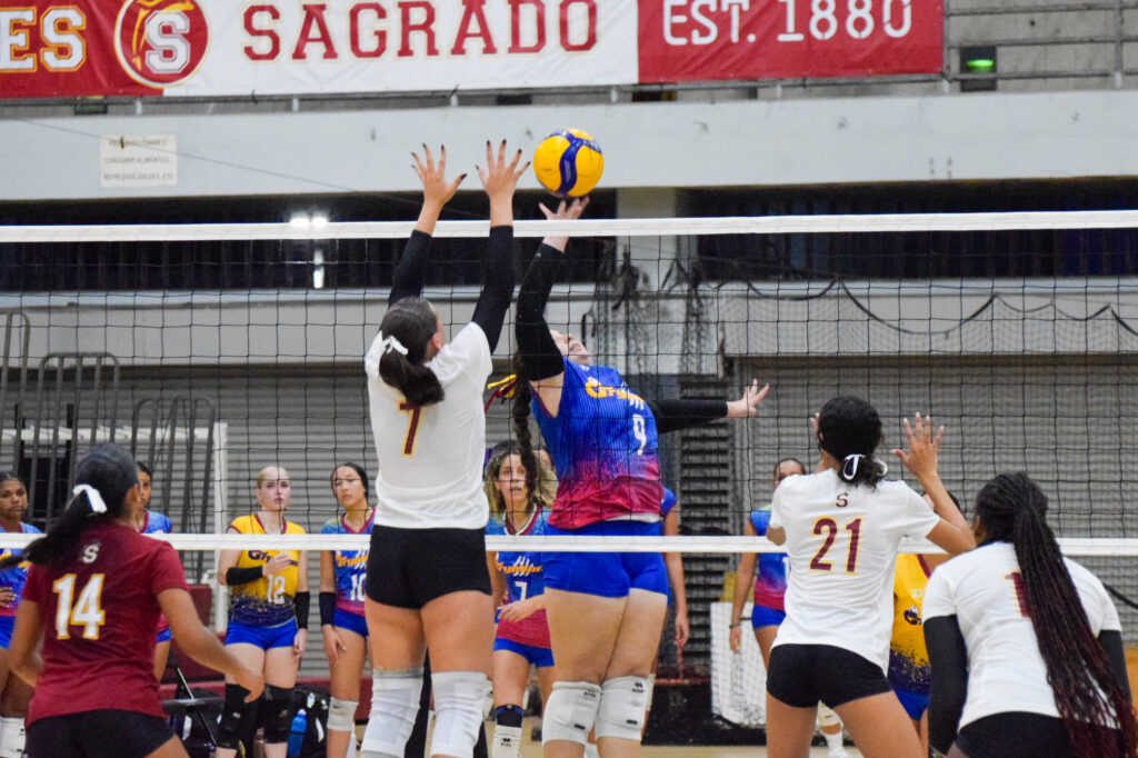 las gryphons de la caribbean jugan este lunes por mantenerse con opciones en el torneo de voleibol. (z. acosta lai)
